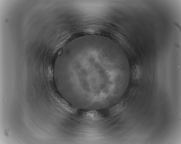 X0000100840420200806201155