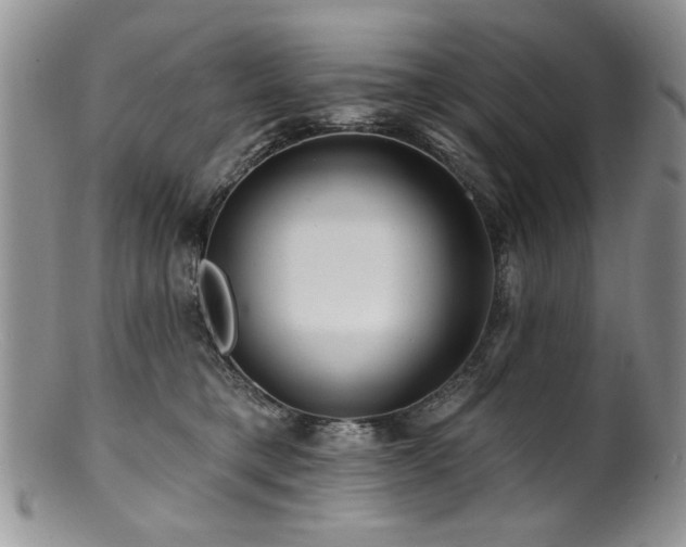 X0000100840421200806201155