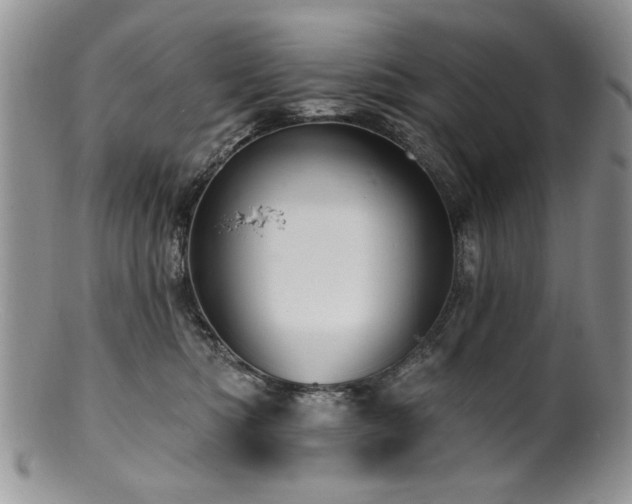 X0000100840422200806201155