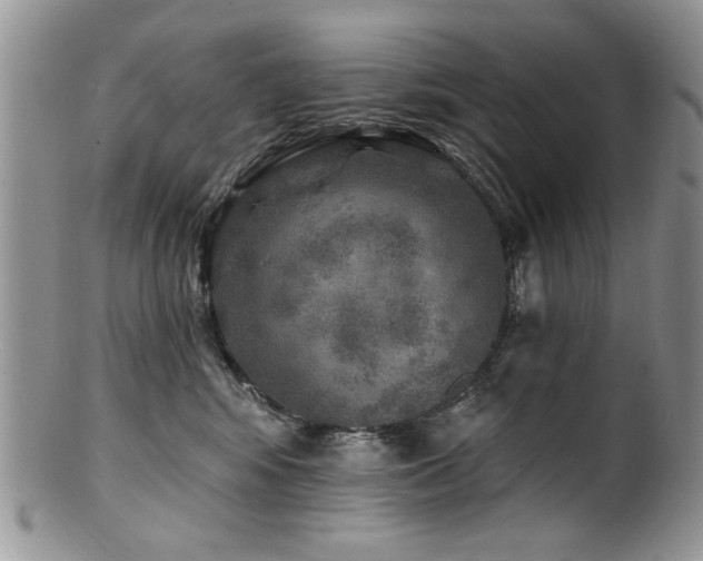 X0000100840424200806201155