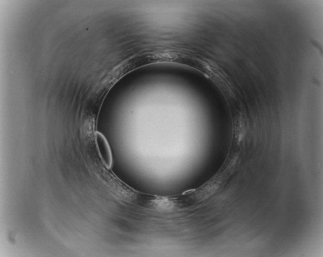 X0000100840425200806201155