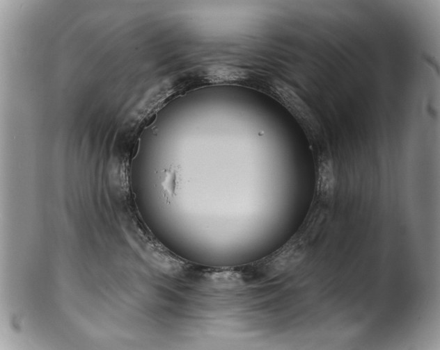 X0000100840426200806201155