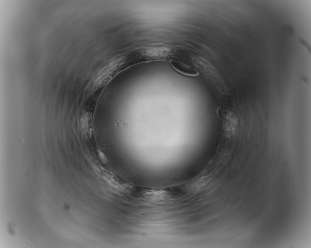 X0000100840428200806201155