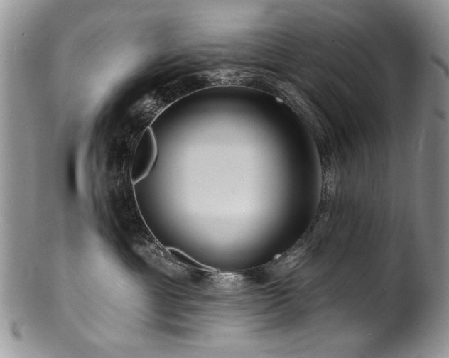 X0000100840429200806201155