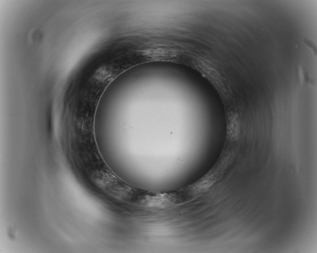 X0000100840430200806201155