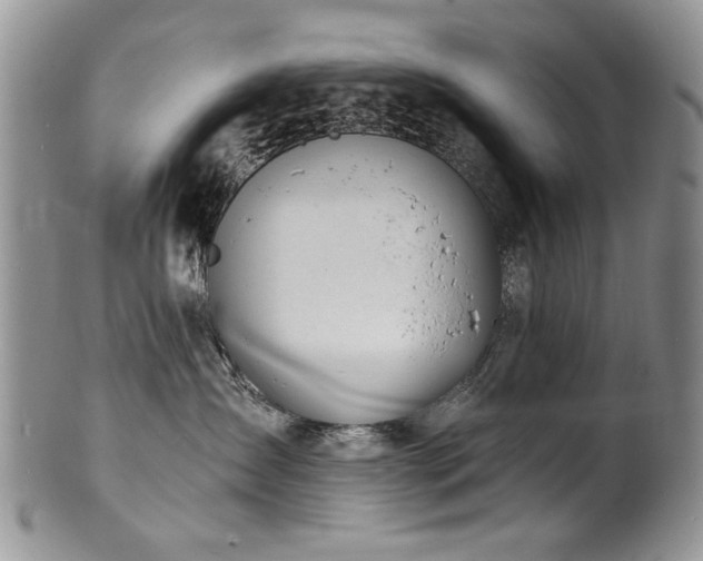 X0000100840431200806201155