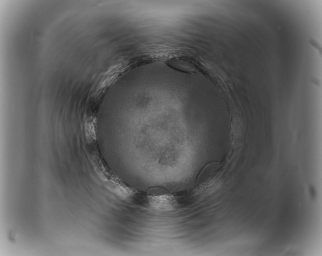 X0000100840432200806201155