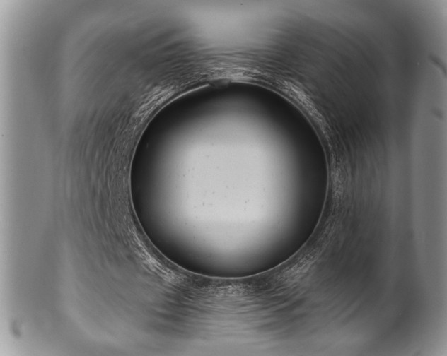 X0000100840433200806201154