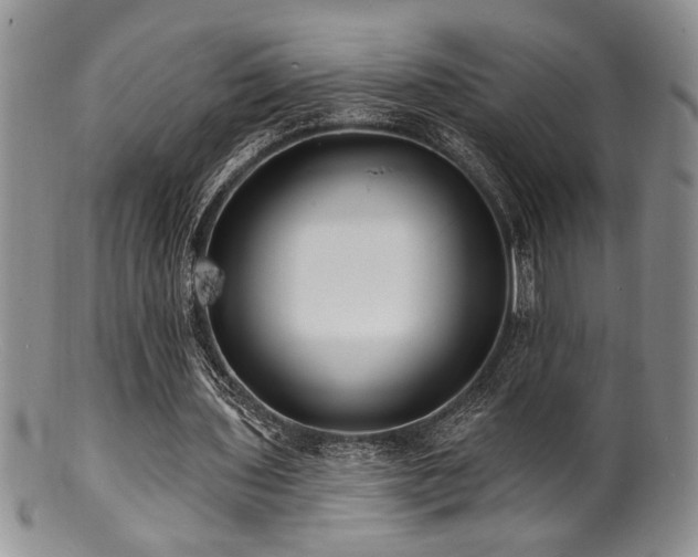 X0000100840435200806201154