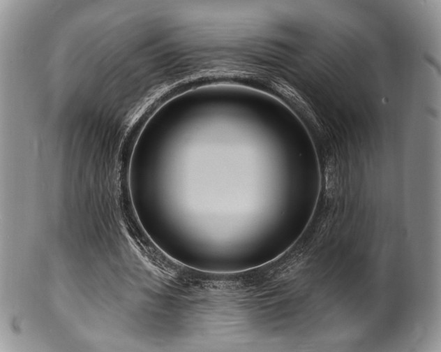 X0000100840436200806201154