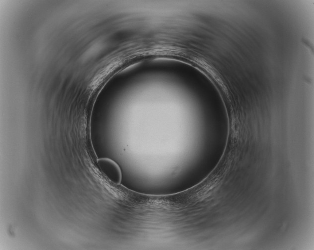 X0000100840437200806201154