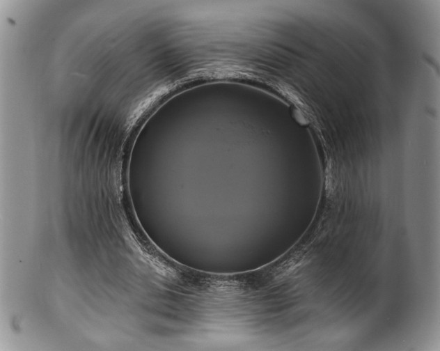 X0000100840438200806201154