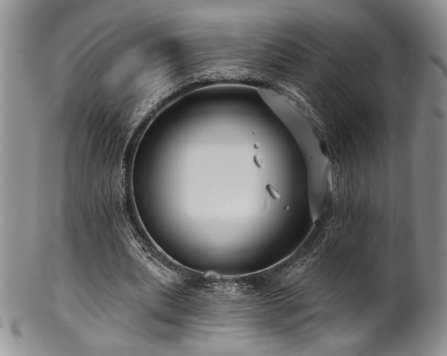 X0000100840439200806201154