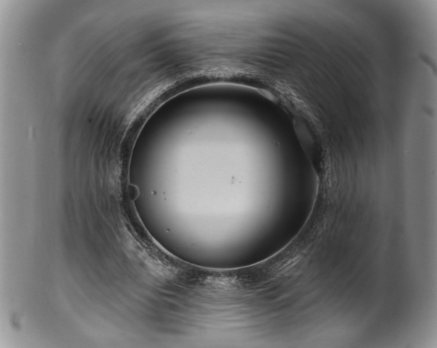 X0000100840440200806201154