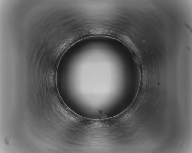 X0000100840441200806201154