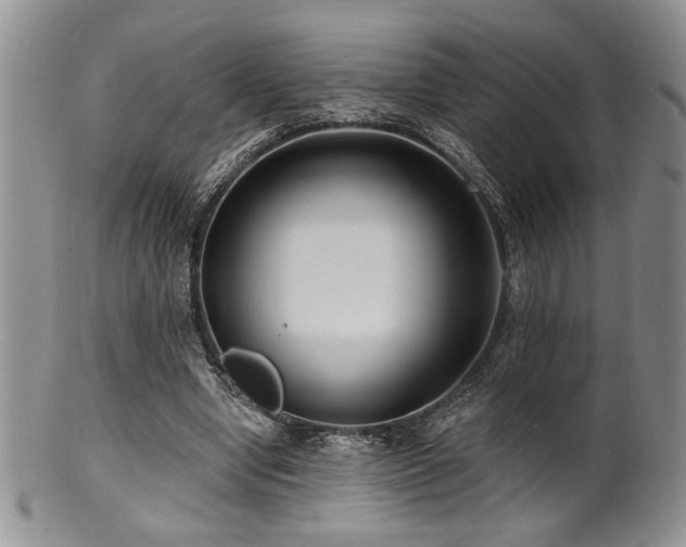 X0000100840442200806201154