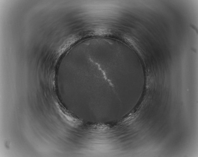 X0000100840443200806201154