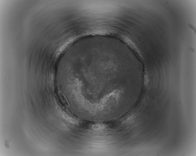 X0000100840444200806201154