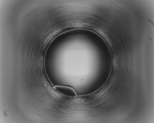 X0000100840445200806201154