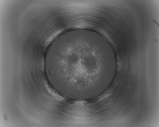 X0000100840446200806201154