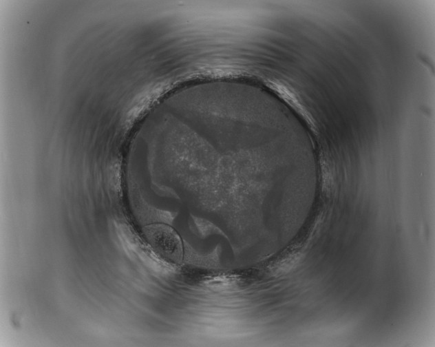 X0000100840447200806201154