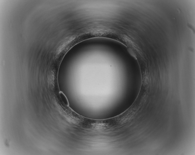 X0000100840448200806201154