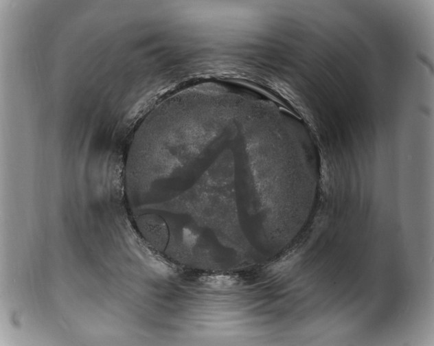 X0000100840449200806201154