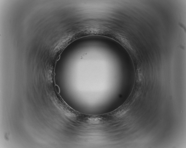 X0000100840450200806201154