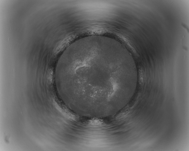 X0000100840451200806201154