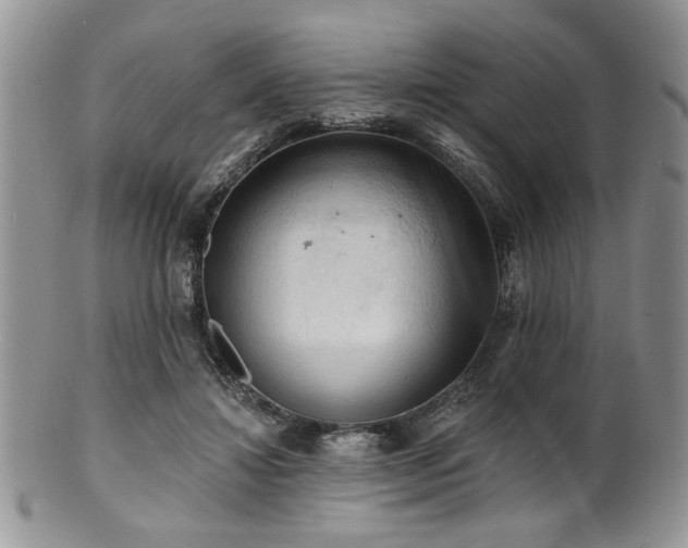 X0000100840452200806201154