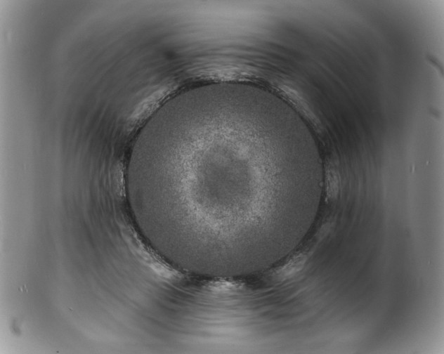 X0000100840453200806201154