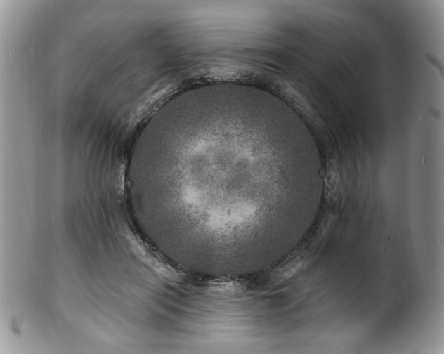 X0000100840454200806201155