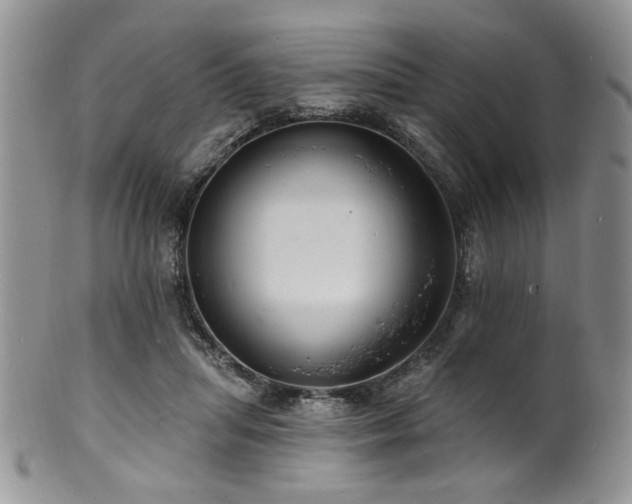 X0000100840455200806201155