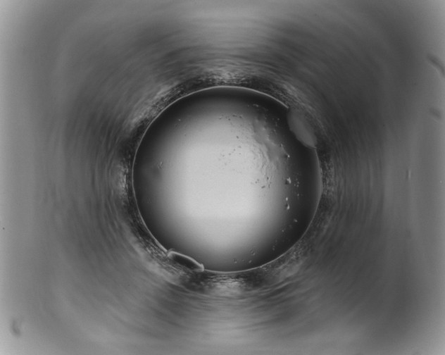 X0000100840456200806201155