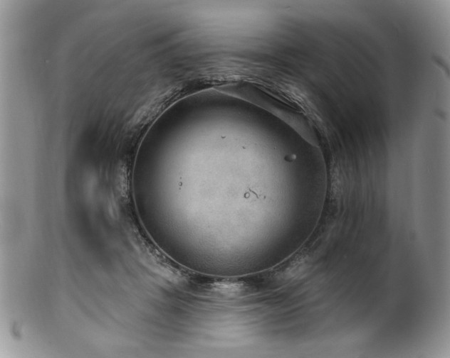 X0000100840457200806201155