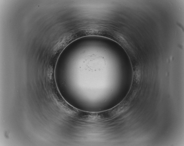 X0000100840458200806201155