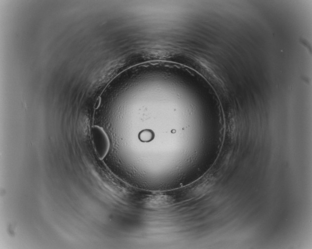 X0000100840459200806201155