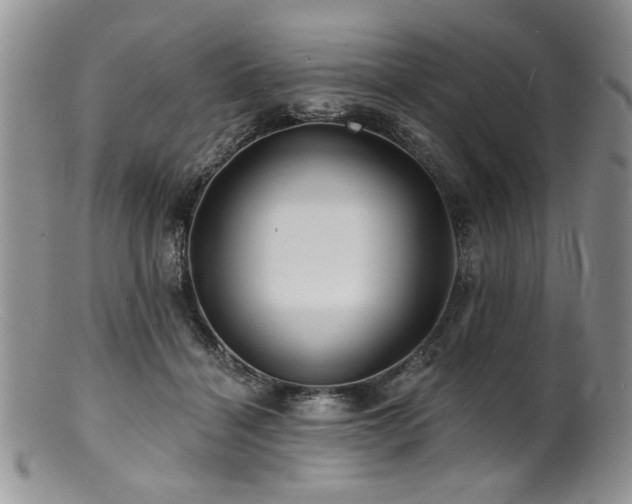 X0000100840460200806201155