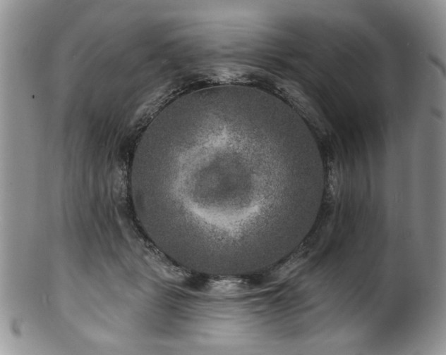 X0000100840461200806201155