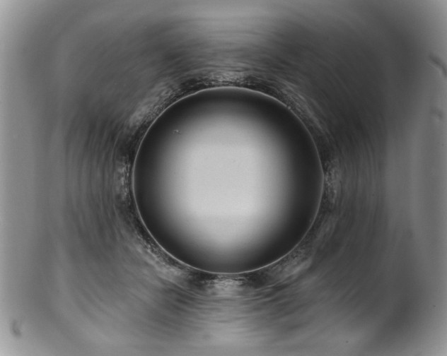 X0000100840462200806201155