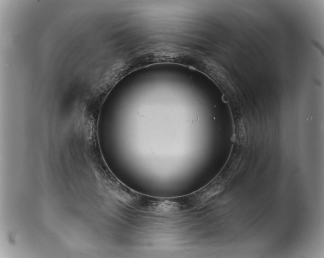 X0000100840463200806201155