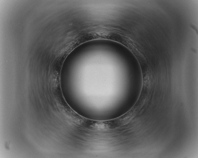 X0000100840464200806201155