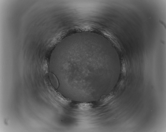 X0000100840465200806201155