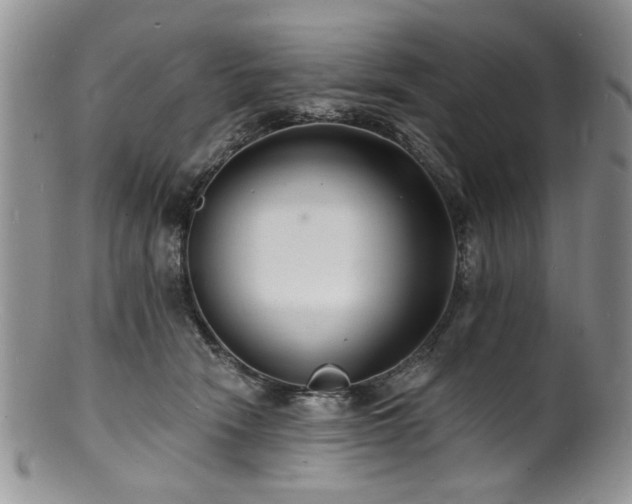 X0000100840466200806201155