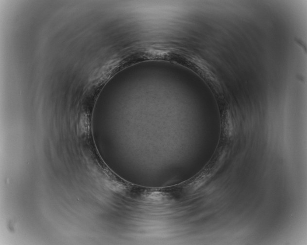 X0000100840467200806201155