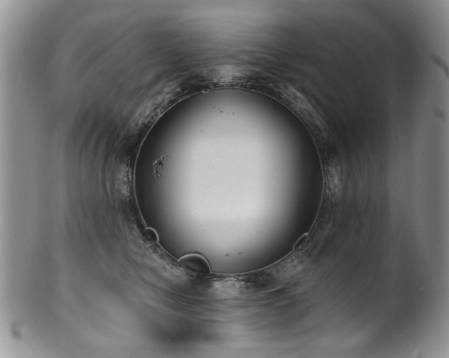 X0000100840470200806201155