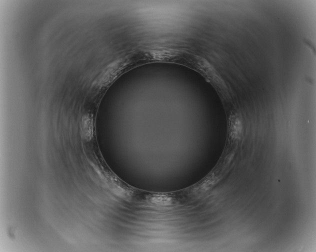 X0000100840471200806201155