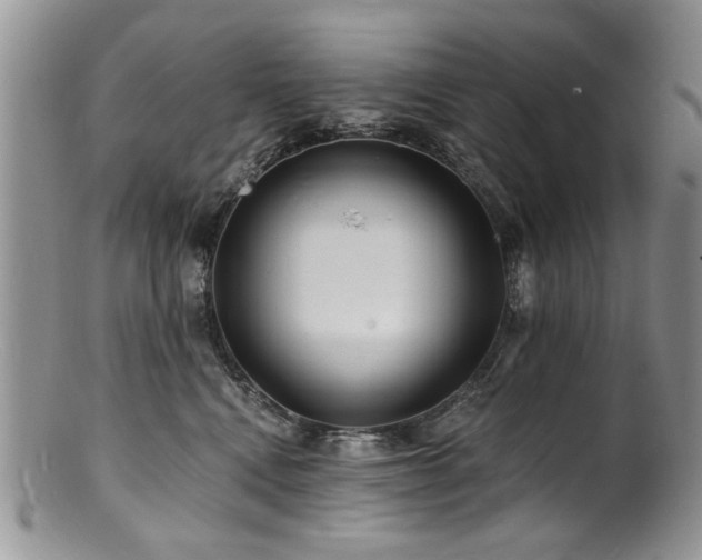 X0000100840472200806201155