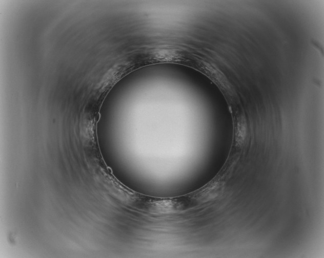 X0000100840473200806201155