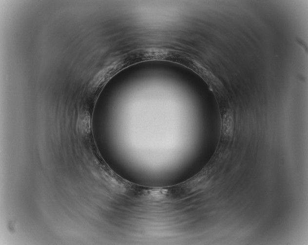 X0000100840474200806201155